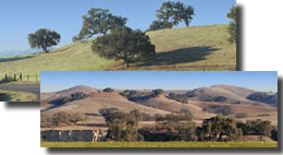 Santa Barbara County Pictures